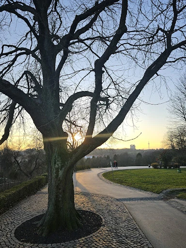 Lohrberg-Schänke photo 4